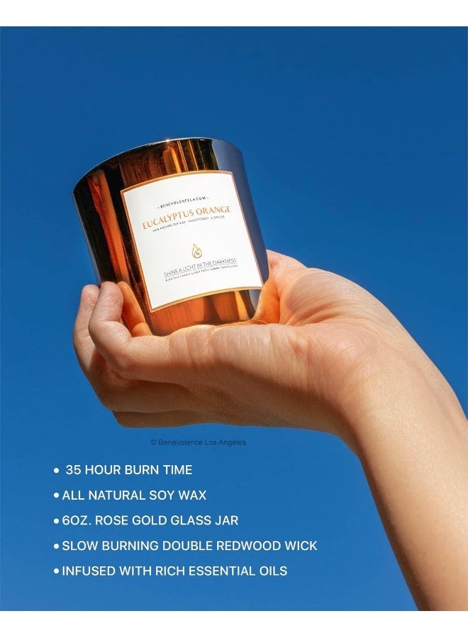 Benevolence LA Eucalyptus & Orange Scented Candles for Home Scented | Wood Wicked Candles | Eucalyptus Candle | 8 oz 45 Hour Burn, All Natural Soy Candle, Calming Aromatherapy Candles in Rose Gold Glass Jar - Image 3